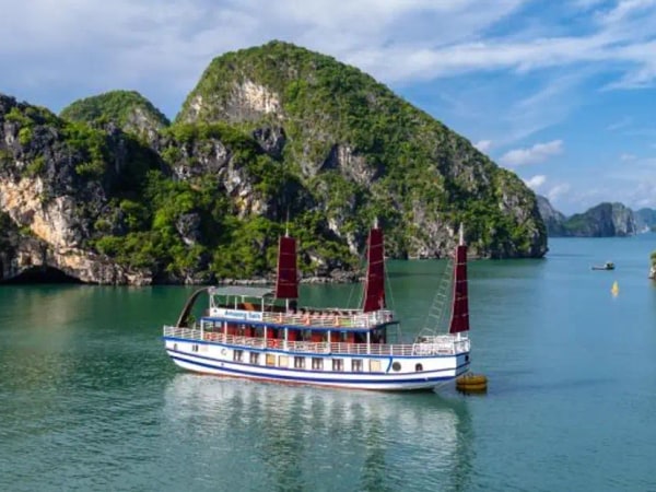 Amazing Sails - Luxury Halong Bay Day Trip from Hanoi